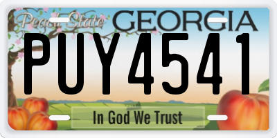 GA license plate PUY4541