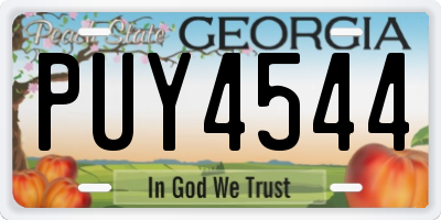 GA license plate PUY4544