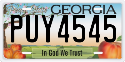 GA license plate PUY4545