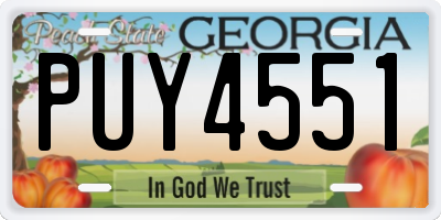 GA license plate PUY4551
