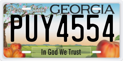GA license plate PUY4554