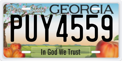 GA license plate PUY4559