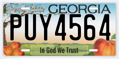 GA license plate PUY4564