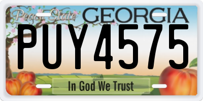 GA license plate PUY4575