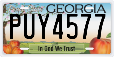 GA license plate PUY4577