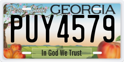 GA license plate PUY4579