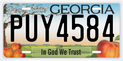 GA license plate PUY4584