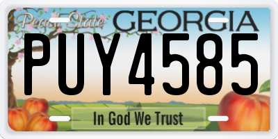 GA license plate PUY4585