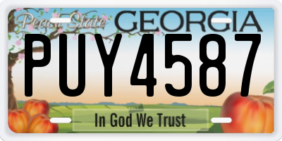 GA license plate PUY4587