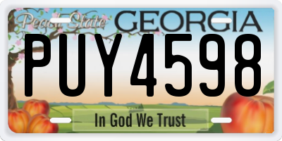 GA license plate PUY4598