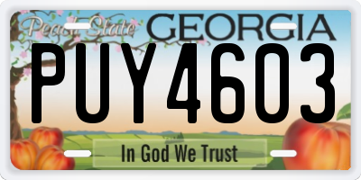 GA license plate PUY4603