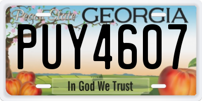 GA license plate PUY4607