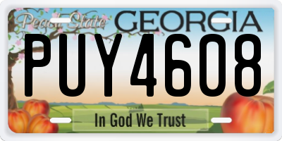 GA license plate PUY4608