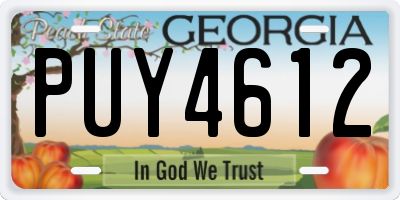 GA license plate PUY4612