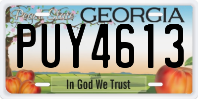 GA license plate PUY4613