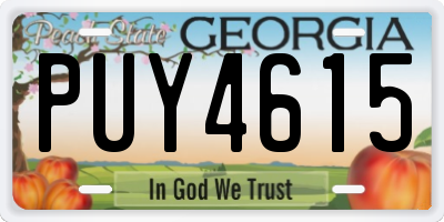 GA license plate PUY4615
