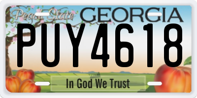 GA license plate PUY4618