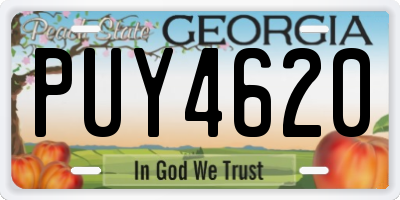 GA license plate PUY4620