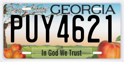 GA license plate PUY4621