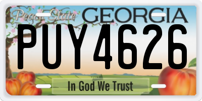 GA license plate PUY4626