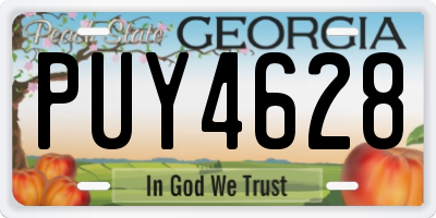 GA license plate PUY4628