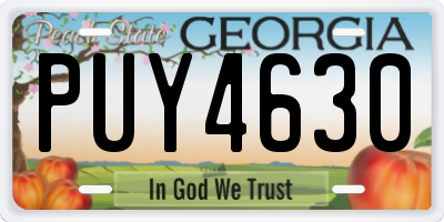 GA license plate PUY4630