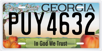 GA license plate PUY4632