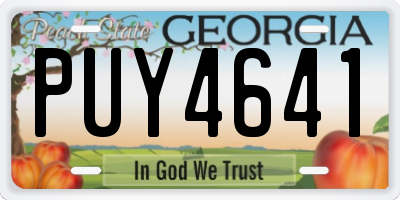 GA license plate PUY4641