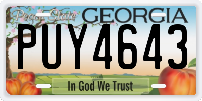 GA license plate PUY4643