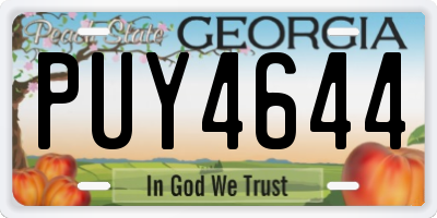 GA license plate PUY4644