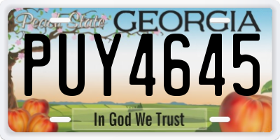 GA license plate PUY4645