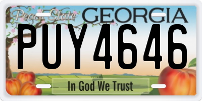 GA license plate PUY4646