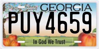 GA license plate PUY4659