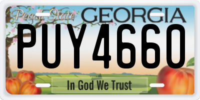 GA license plate PUY4660