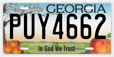 GA license plate PUY4662