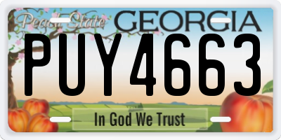 GA license plate PUY4663