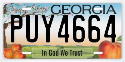 GA license plate PUY4664