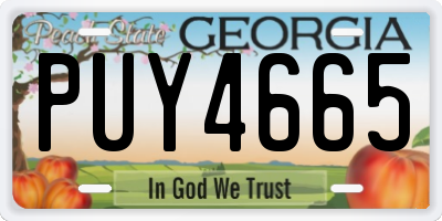 GA license plate PUY4665