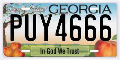 GA license plate PUY4666