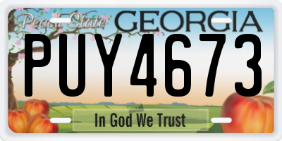 GA license plate PUY4673