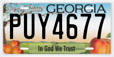 GA license plate PUY4677