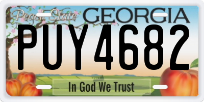 GA license plate PUY4682