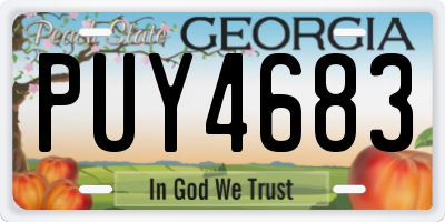 GA license plate PUY4683