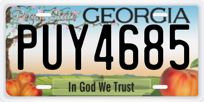 GA license plate PUY4685