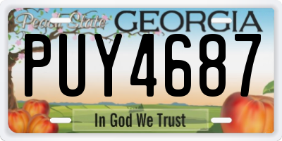 GA license plate PUY4687