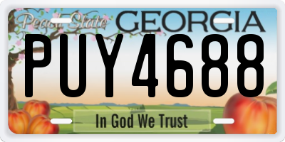 GA license plate PUY4688
