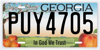 GA license plate PUY4705