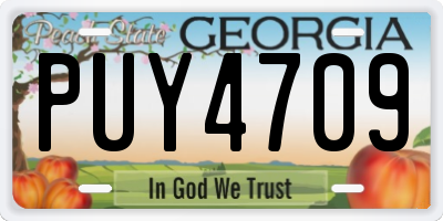 GA license plate PUY4709