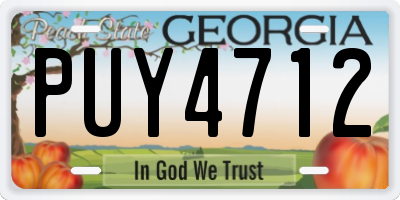 GA license plate PUY4712
