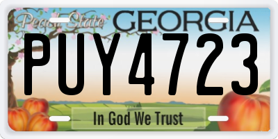 GA license plate PUY4723